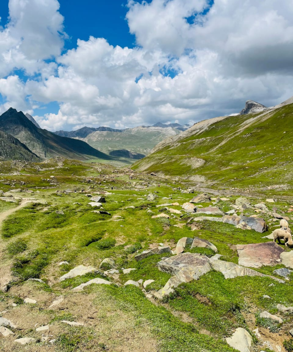 Nafran valley Trek- Trek in Kashmir