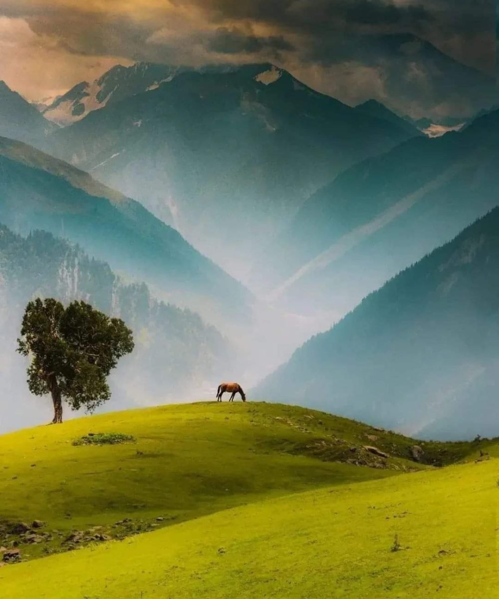 Gurez valley trek